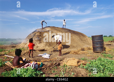 Preparazione per la produzione di carbone di legna da ardere ; Ramnad ; Ramanathapuram ; Tamil Nadu ; India ; Asia Foto Stock