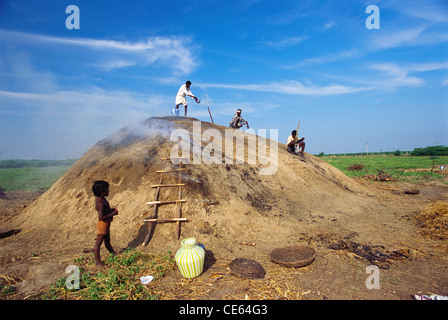 Preparazione per la produzione di carbone di legna da ardere ; Ramnad ; Ramanathapuram ; Tamil Nadu ; India ; Asia Foto Stock