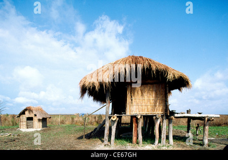 Casa su palafitte ; il parco nazionale di Kaziranga ; Assam ; India Foto Stock