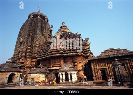 Complesso templare Lingraj ; tempio Lingaraj ; tempio Lingaraja ; tempio Shiva Indù Mandir ; Bhubaneshwar ; Orissa ; Odisha ; India ; Asia Foto Stock