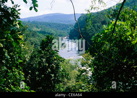 Fiume Ghats occidentale ; Chalakudy ; Trichur ; Thrissur ; Kerala ; India ; Asia Foto Stock