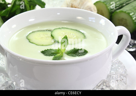 Iced fresca zuppa di cetriolo con aglio, yogurt e menta Foto Stock