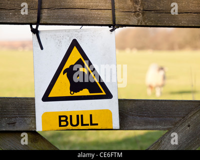 Attenzione di Bull segno su una porta di campo anche se il campo contiene solo ovini Foto Stock