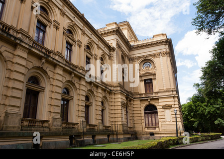 Il Museu Paulista (Museo Paulista), da Parque Independencia (Parco Indipendenza), Ipiranga, Sao Paulo, Brasile Foto Stock