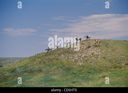 Cinque i piloti a cavallo su un sentiero di marcia Foto Stock