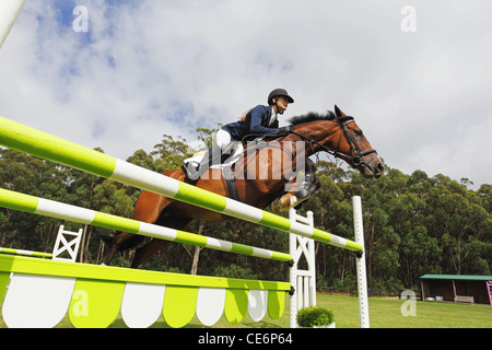 Cavaliere a cavallo il salto a ostacoli Foto Stock