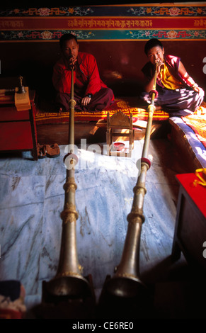 HMA 87792 : i monaci buddisti giocando a lungo le corna strumenti musicali nel monastero tibetano ; Pokhra ; Nepal Foto Stock