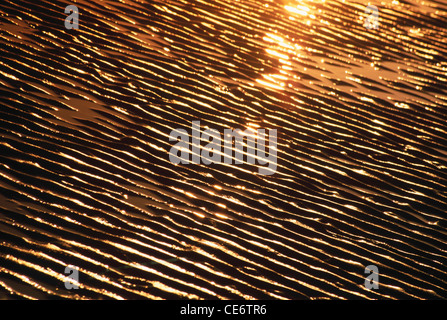 MMN 85951 : la riflessione del sole in increspature di wet mare spiaggia sabbia india maharashtra Foto Stock