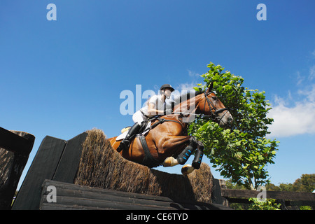 Donna Cavaliere a cavallo di salto Foto Stock