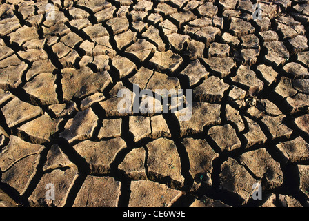 MAA 86033 : incrinato la massa di argilla prismatica modello di strutture in terra siccità Foto Stock