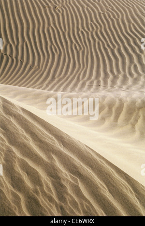 HMA 86182 : dune di sabbia Khuri Jaisalmer Rajasthan in India Foto Stock
