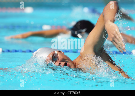 Nuotatori in competizione in piscina Foto Stock