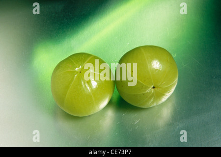 AMLA, phyllanthus emblica, emblico, emblico mirobalano, mirobalano, Uva spina indiana, Malacca, due pezzi su sfondo bianco, piano tavolo, Foto Stock