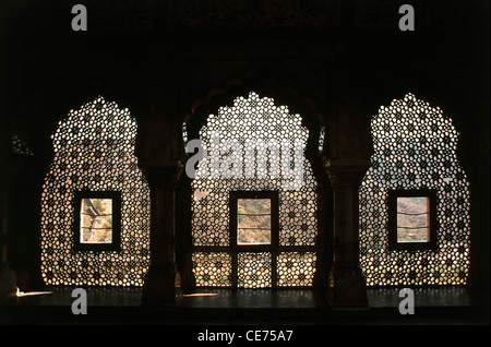 colonne di finestre artisticamente scolpito schermo in marmo silhouette sheesh mahal vetro palazzo ambra forte jaipur rajasthan india asia Foto Stock