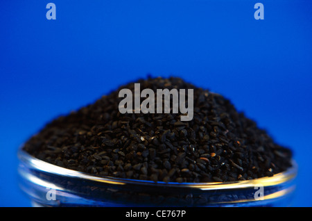 Semi di Nigella ; cumino nero ; kalonji ; Nigella Sativa ; in vaso di vetro su sfondo blu Foto Stock
