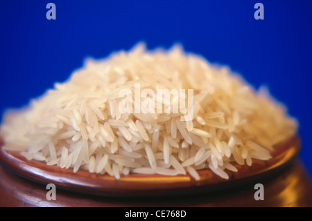 Semi di riso Basmati ; Oryza sativa in vaso di terra su fondo blu Foto Stock