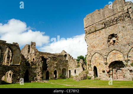 Easby Abbey, o l Abbazia di Sant Agata a Richmond, Richmondshire, North Yorkshire. Foto Stock