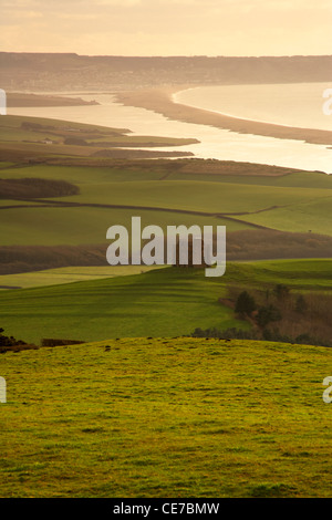 Il Colle St Catherines Cappella sopra Abbotsbury con Chesil Beach in lontananza sul Dorset Jurassic Coast Foto Stock