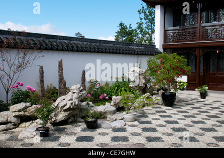 Cortile in Dunedin giardino cinese Nuova Zelanda Foto Stock