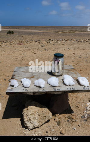 Compressa lungo la strada con un display di cristalli di sale per la vendita. Skeleton Coast, Namibia. Foto Stock