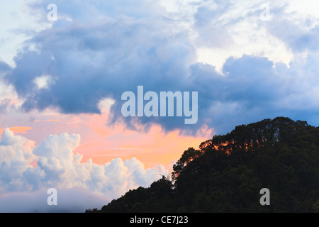 Paesaggio della foresta pluviale al tramonto. Bach Ma Parco Nazionale. Il Vietnam. Foto Stock