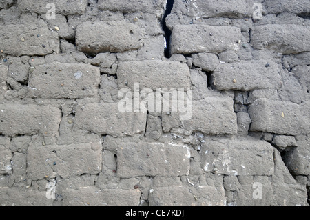 Vecchi mattoni di fango parete della casa, Patagonia, Argentina Foto Stock