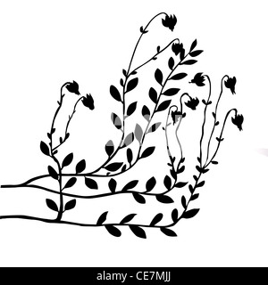 Vettore boccola di mirtillo rosso su sfondo bianco Foto Stock