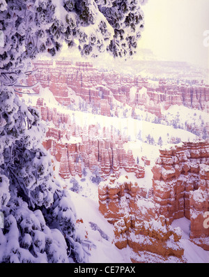 Queen's Garden dal punto di tramonto dopo la tempesta di neve in inverno al Parco Nazionale di Bryce Canyon, Utah Foto Stock