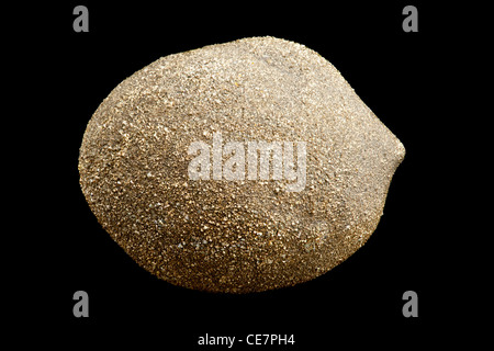 Pietra Minerale Di Pirite Di Ferro Dorato Grezzo Di Fronte A Sfondo Nero Mineralogia Ed Esoterismo Foto Stock Alamy