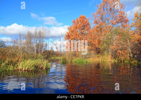 Legno di autunno sul fiume costa Foto Stock