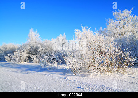 Bussole di neve sulla costa fiume Foto Stock