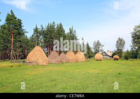 Il fieno di stack sul campo verde Foto Stock