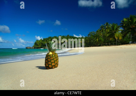 Cocktail di ananas sulla spiaggia Foto Stock