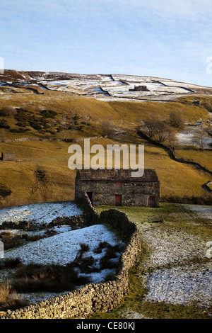 Campo di Pietra fienile in Twaite paesaggio invernale, Swaledale, North Yorkshire Dales, Richmondshire, REGNO UNITO Foto Stock