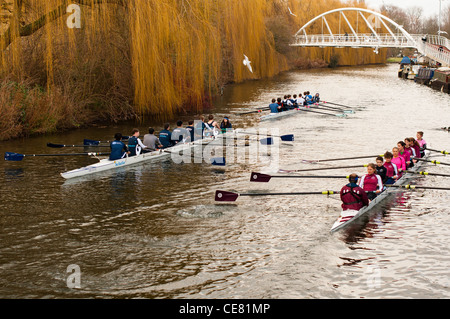 Squadre di rematori sul fiume Cam, Cambridge, Inghilterra. Foto Stock