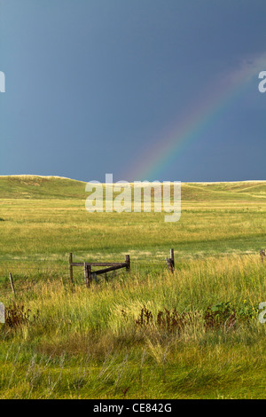 Wind Cave National Park nella contea di Custer, l'arcobaleno sulla prateria del South Dakota SD immagini foto in vendita su alamy verticale negli USA US ad alta risoluzione Foto Stock