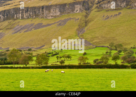 Ai piedi dei monti Dartry nella Contea di Sligo. Foto Stock