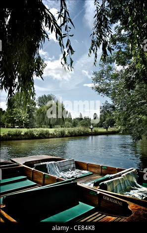 Sterline sul fiume Cam in Cambridge Inghilterra England Foto Stock