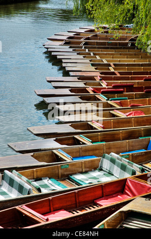 Sterline sul fiume Cam in Cambridge Inghilterra England Foto Stock