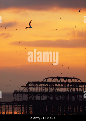 Stormi di gabbiani volano circa il haunting silhouette di Brighton il Molo Ovest, come un sole che illumina un cielo brillante Foto Stock