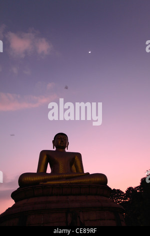 Sri Lanka, Colombo, Parco Viharamahadevi, statua del Buddha di sera Foto Stock