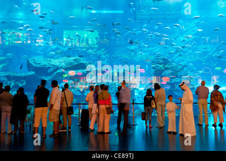 Dubai, piccola folla di visitatori a raccogliere grandi finestre di Dubai Aquarium a Dubai Mall Foto Stock