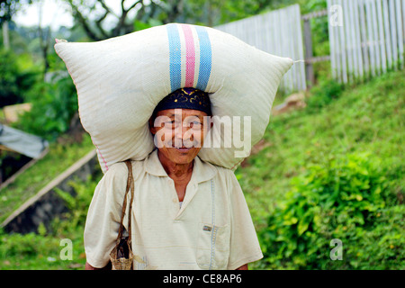 Uomo indonesiano che trasportano il sacco sulla testa nella regione di Kerinci sull isola di Sumatra Foto Stock