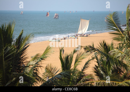 Sri Lanka, provincia occidentale, Negombo, sole, spiaggia, mare, Outrigger tradizionali barche da pesca, nave, battello Foto Stock