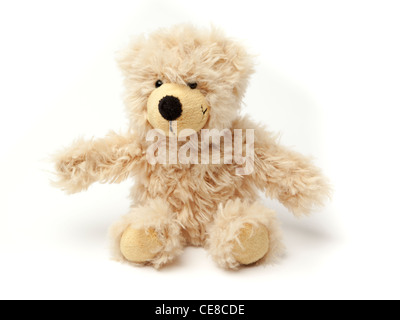 Orsacchiotto di peluche su sfondo bianco Foto Stock