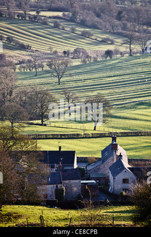 Cresta medievale e il solco iscrizioni in campi a Brassington, Derbyshire Foto Stock