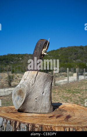 Ax con rotta maniglia è bloccato in un pezzo di legno duro Foto Stock