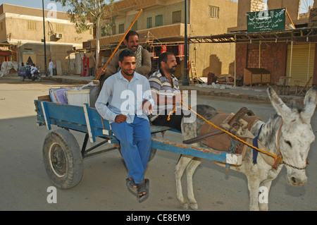 Il Nord Africa, Egitto, Oasi di Siwa, Shali, Main Street, tre arabi asino di guida e il carrello Foto Stock