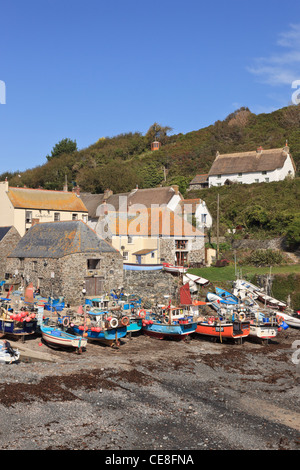 Il vecchio villaggio di pescatori con barche spiaggiata sulle rive del piccolo porto con la bassa marea. Cadgwith, Cornwall, Inghilterra, Regno Unito, Gran Bretagna. Foto Stock