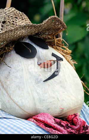 Lo Spaventapasseri scarecrows bird scarers pest control deterrente deterrenti rustico paese tradizionale cottage giardini estivi testa vicina Foto Stock